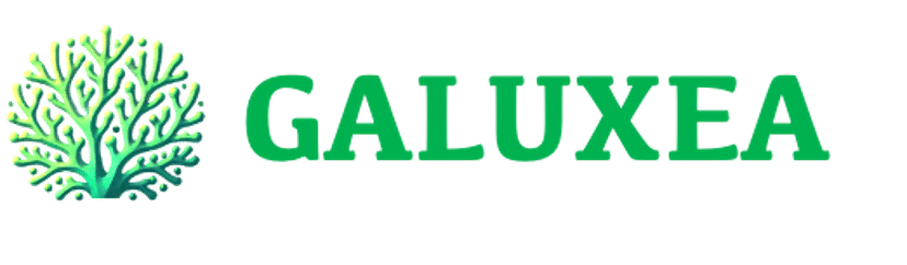 Galuxea: Chief Technology Officer (CTO) / Co-Founder 