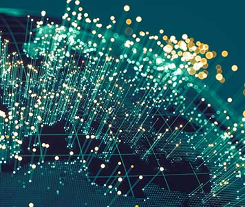 A safe and respectful working environment