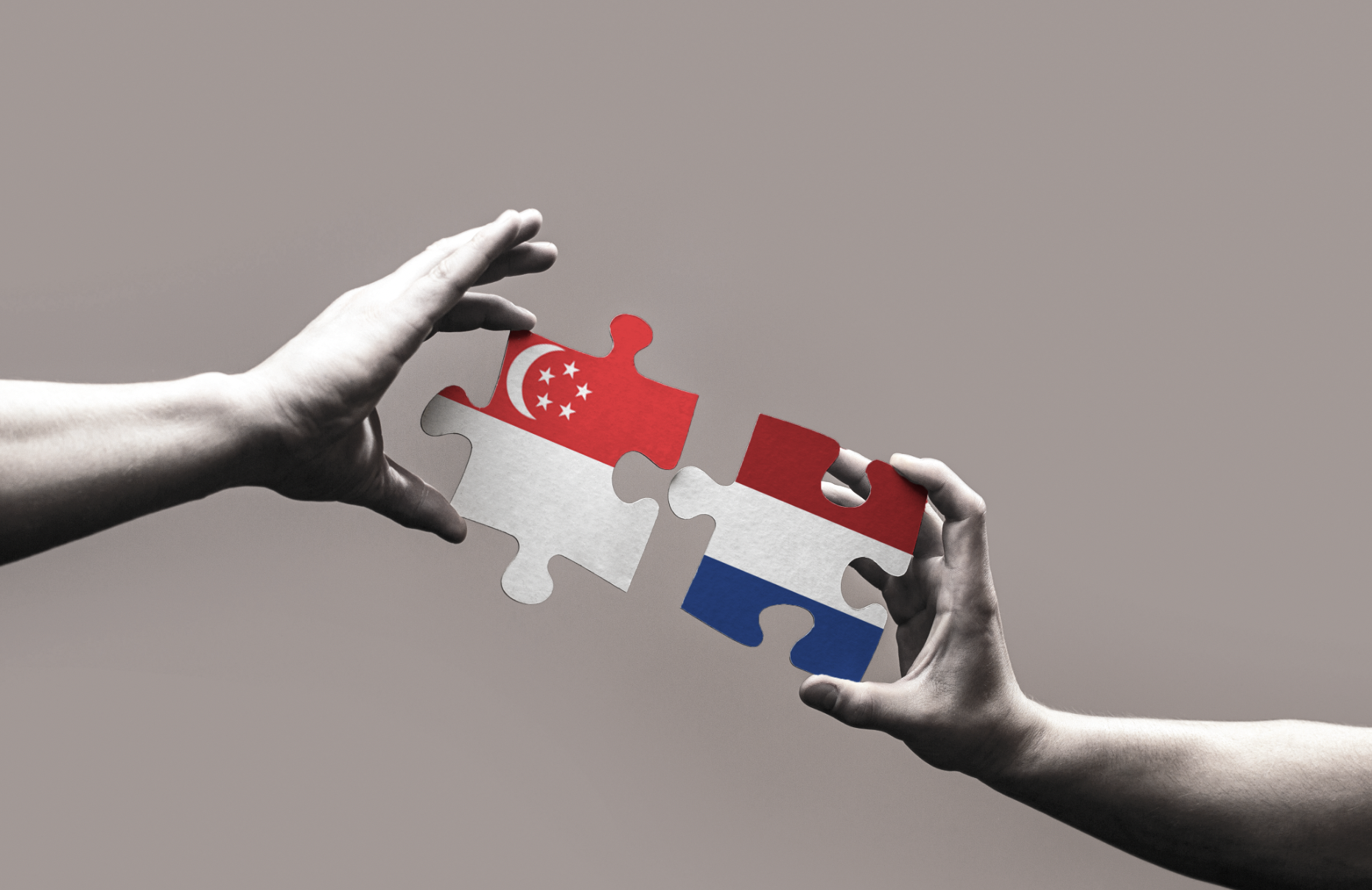 Dutch-Singapore Deep Tech Expansion Program